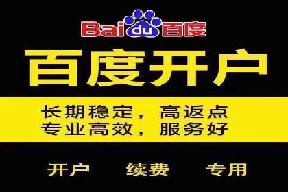揭秘百度竞价广告：实战案例分析及优化策略